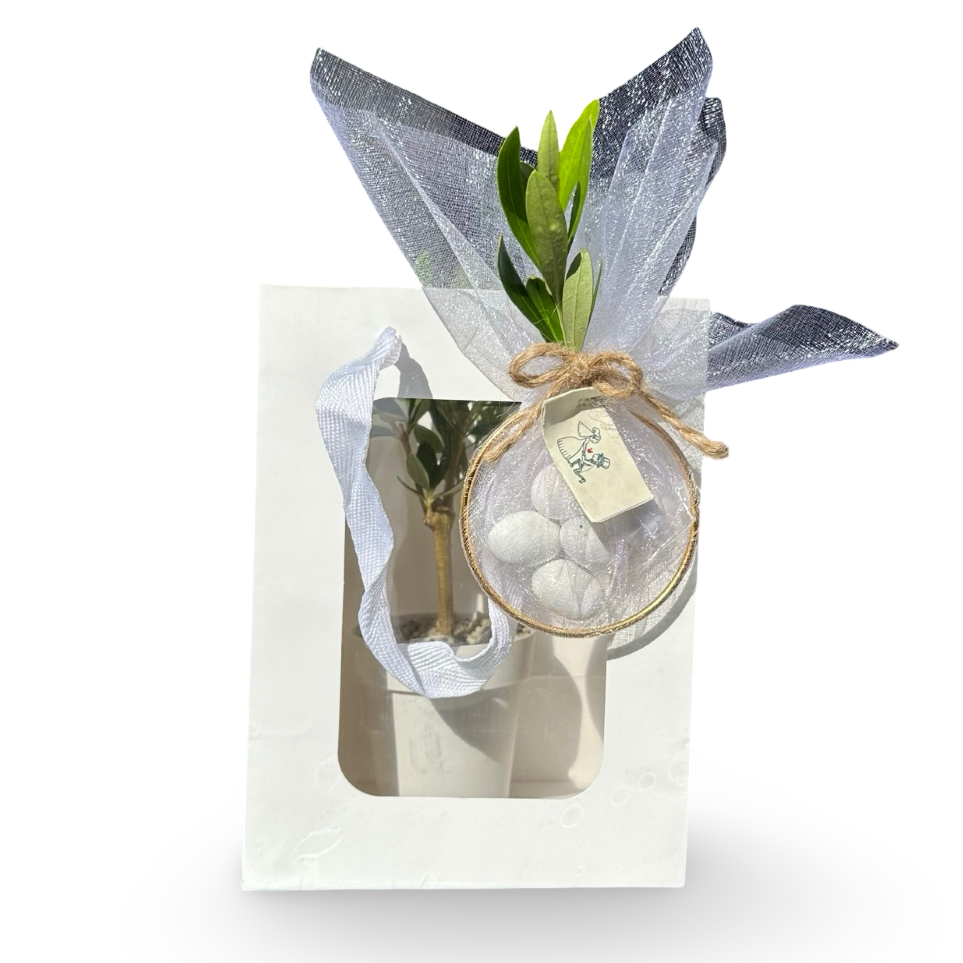 Set 5 Borse per Bomboniere 20cm x 15cm x 10cm con finestra trasparente