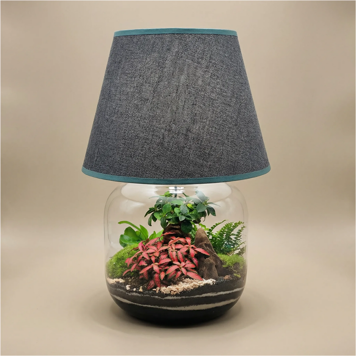 Terrarium Lamparium Martina