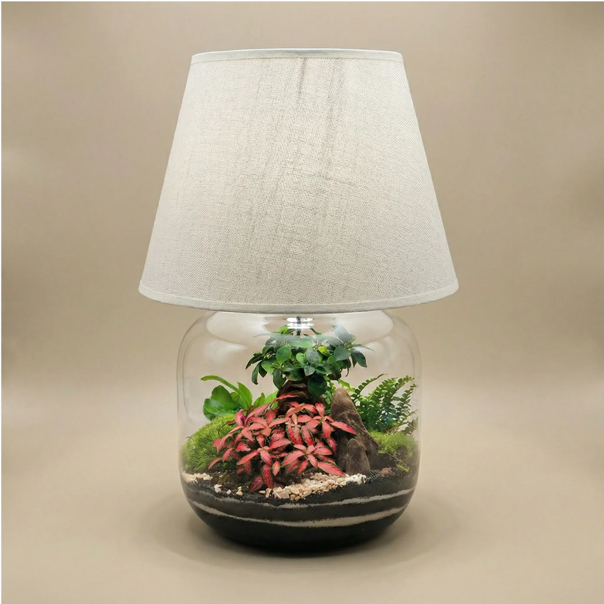Terrarium Lamparium Martina