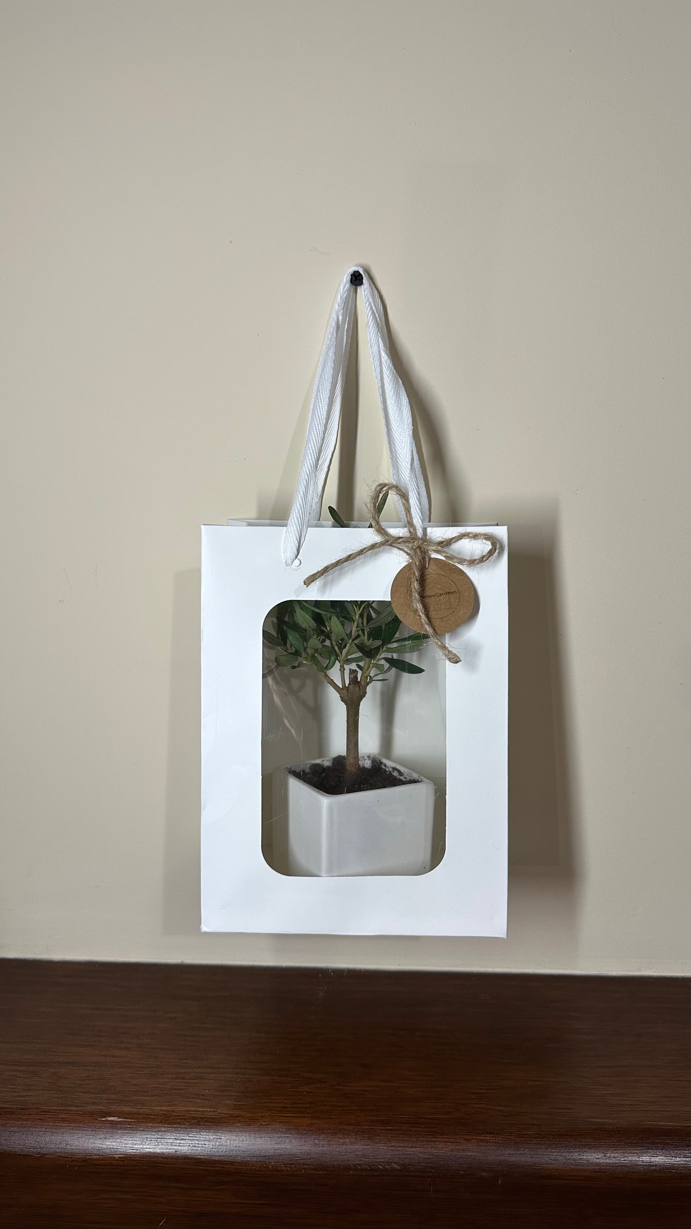 Set 5 Borse per Bomboniere 20cm x 15cm x 10cm con finestra trasparente