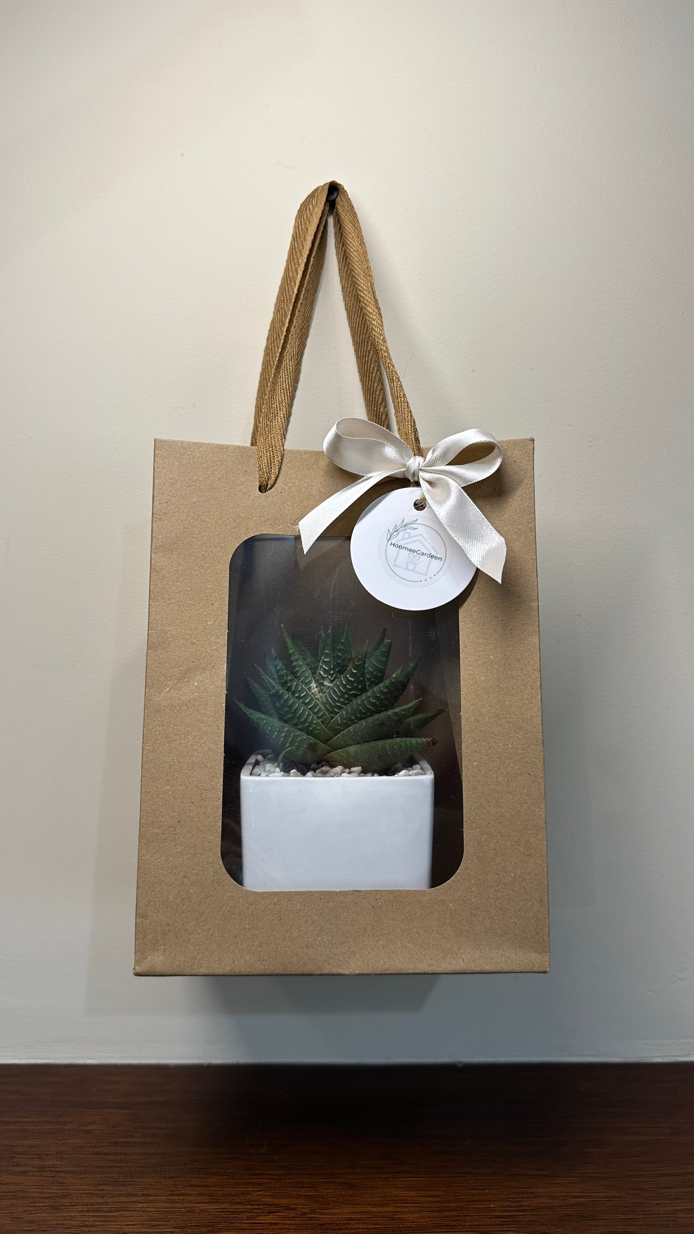 Set 5 Borse per Bomboniere 20cm x 15cm x 10cm con finestra trasparente