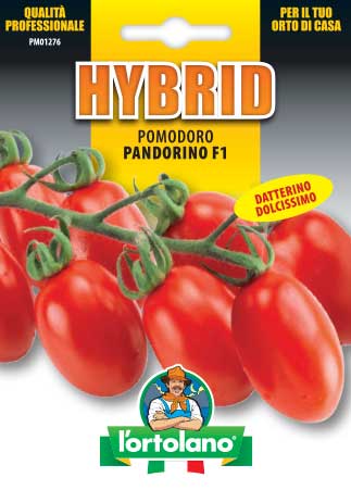 Semi di Pomodoro datterino rosso Pandorino Ibrido F1 in Semi - L'Ortolano