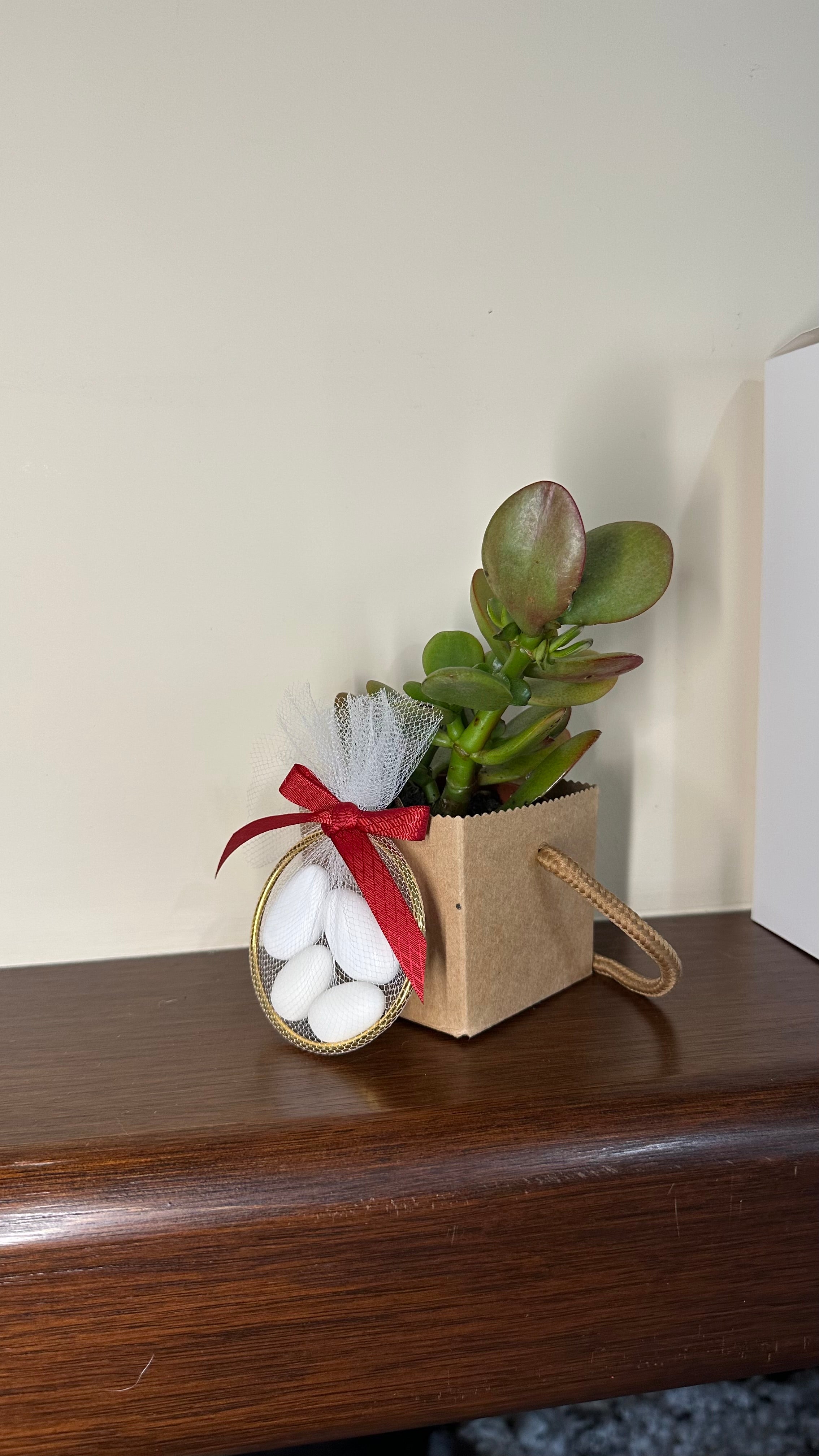 Set 5 Scatoline per Bomboniere 6,5cmx6,5cmx6,5cm