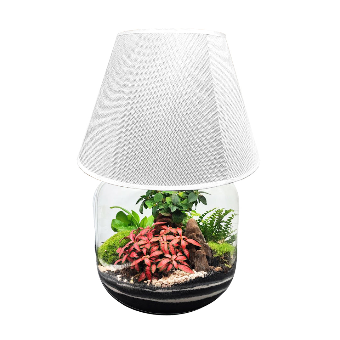 Terrarium Lamparium Martina