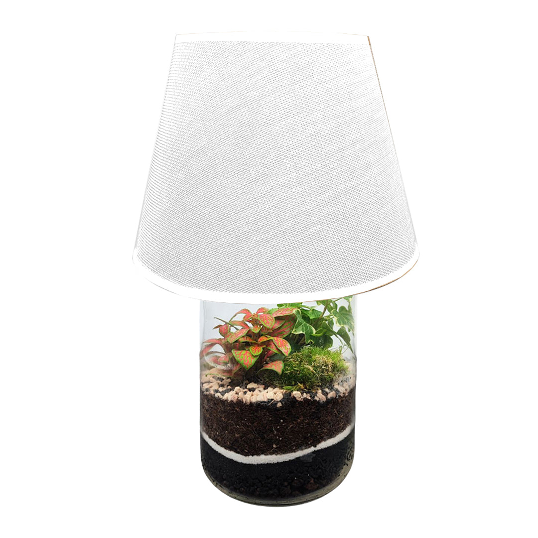 Terrarium Lamparium Aurora