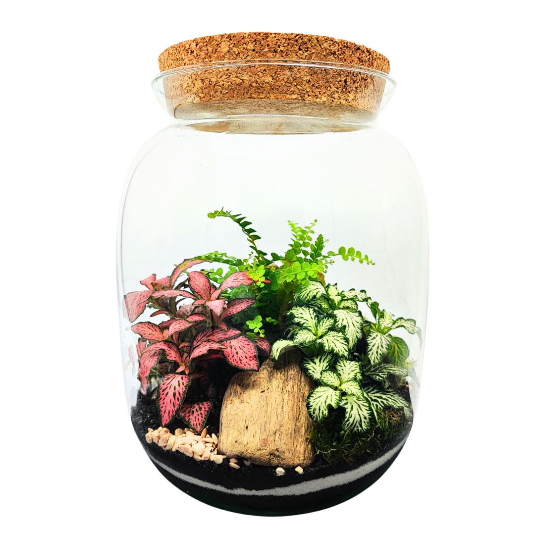 Terrarium Giardino Segreto 049