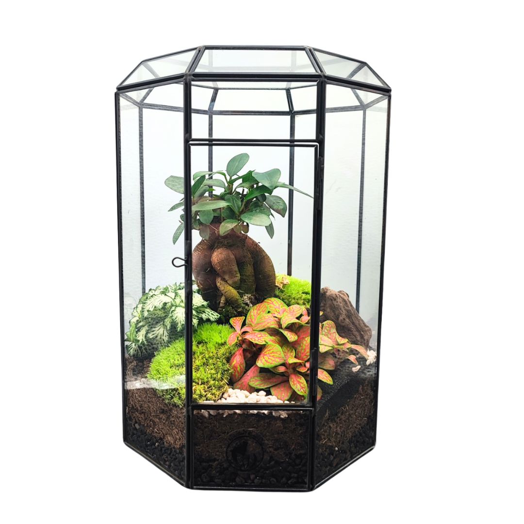 Terrarium Infinito 069V