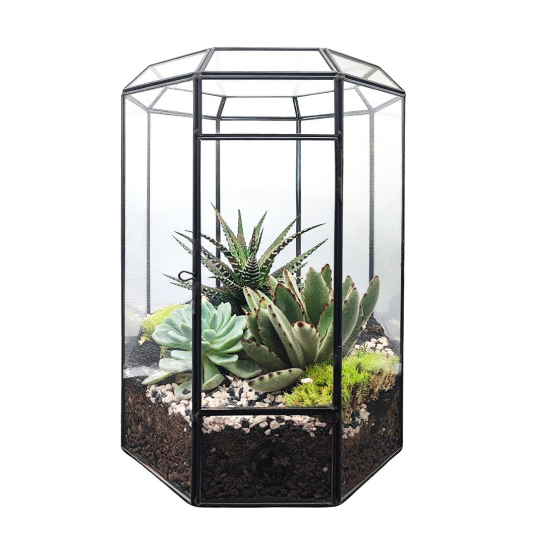 Terrarium Piante Grasse Serra Ottagonale Romantica 069G