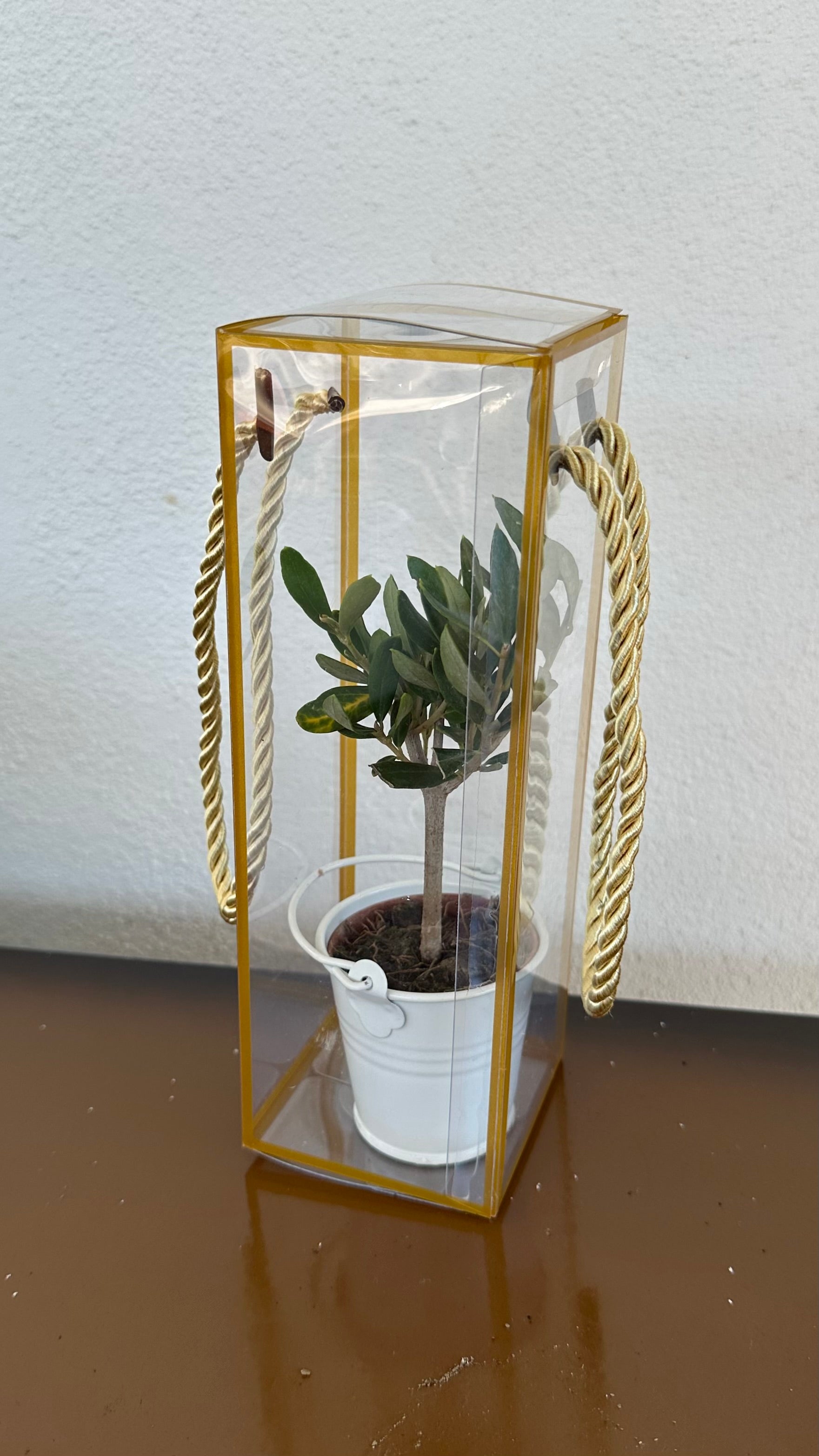 Set 5 Scatoline per Bomboniere 7cm x 7cm x 21cm Trasparenti bordi oro e lacci