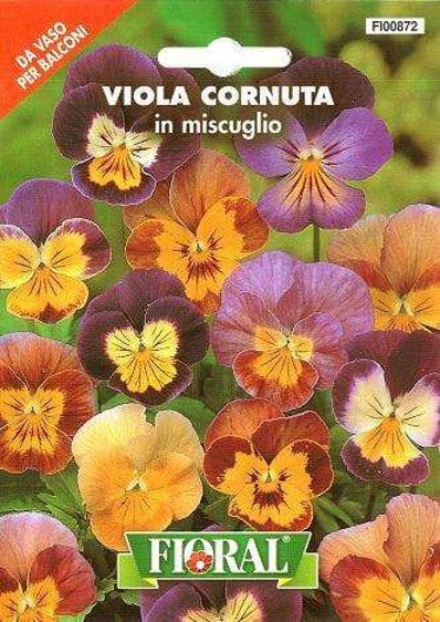 Viola Cornuta Miscuglio In Busta - Da Vaso Per Balconi