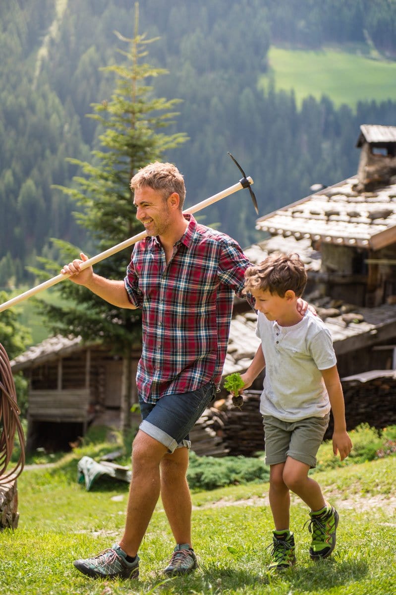 Zappa a cuore bidente 500 g con manico - Stocker