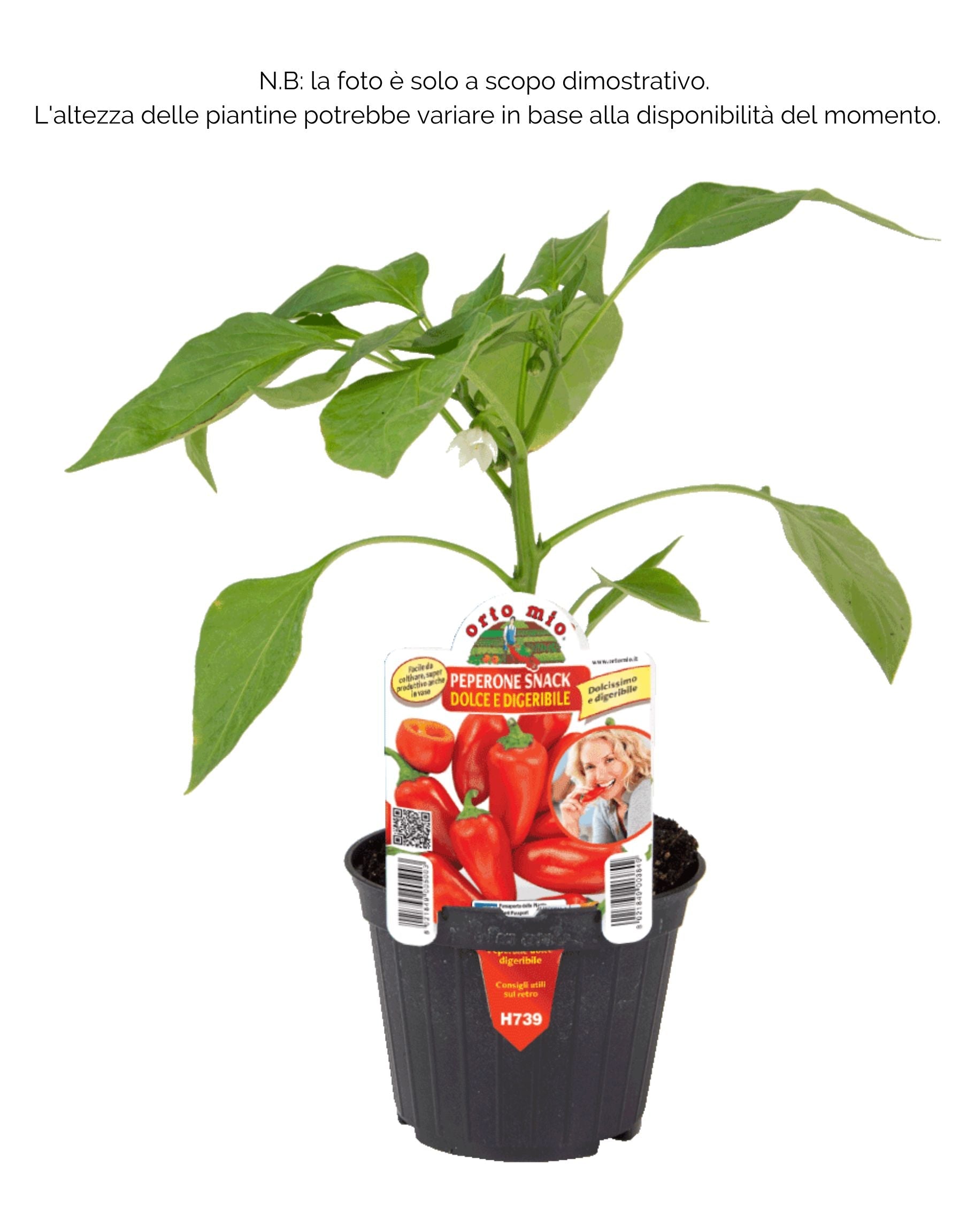 Peperone dolce snack Trirosso F1 - 1 pianta vaso 10 cm - Orto Mio