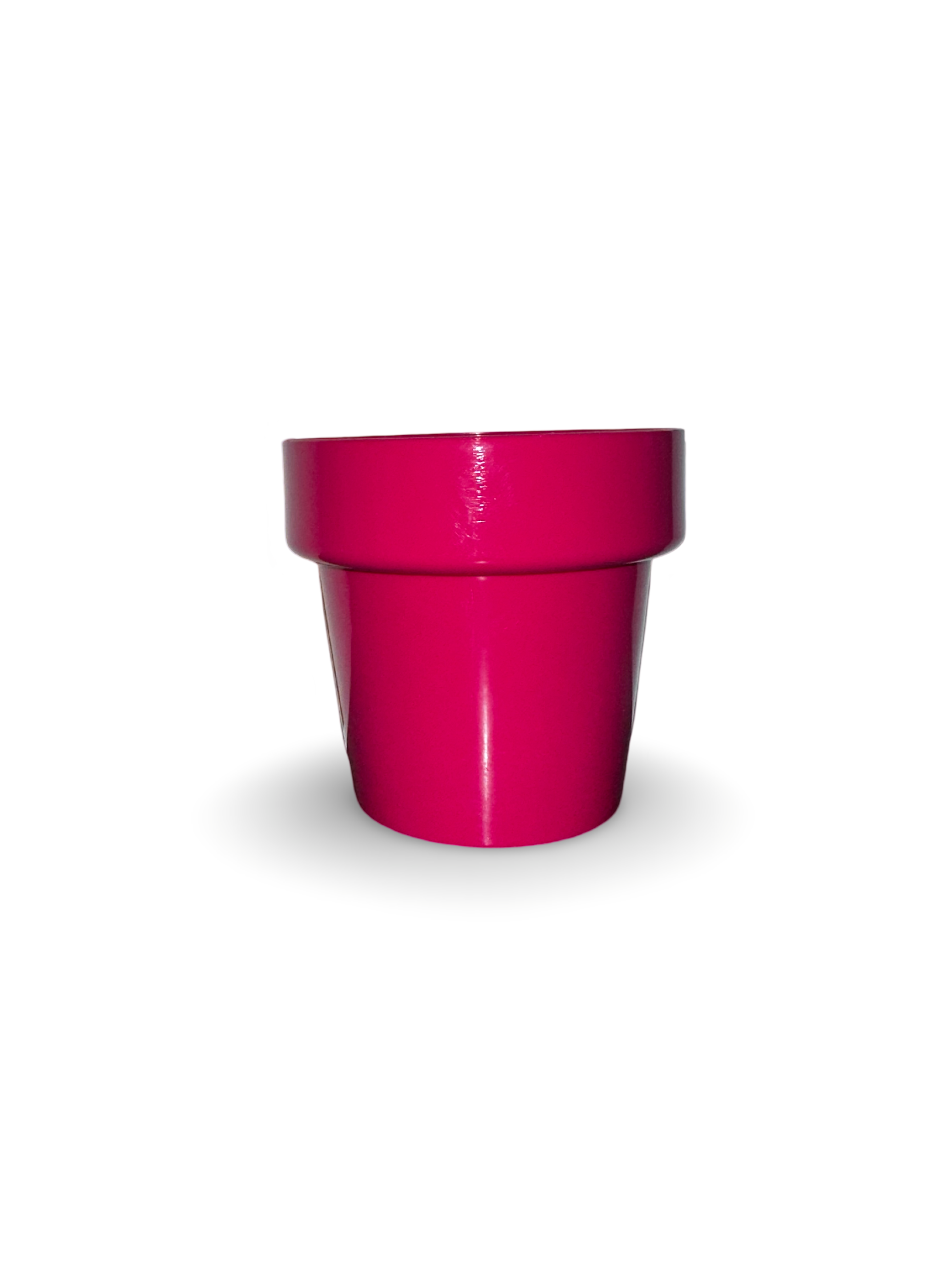 Piantina di Crassula Hobbit