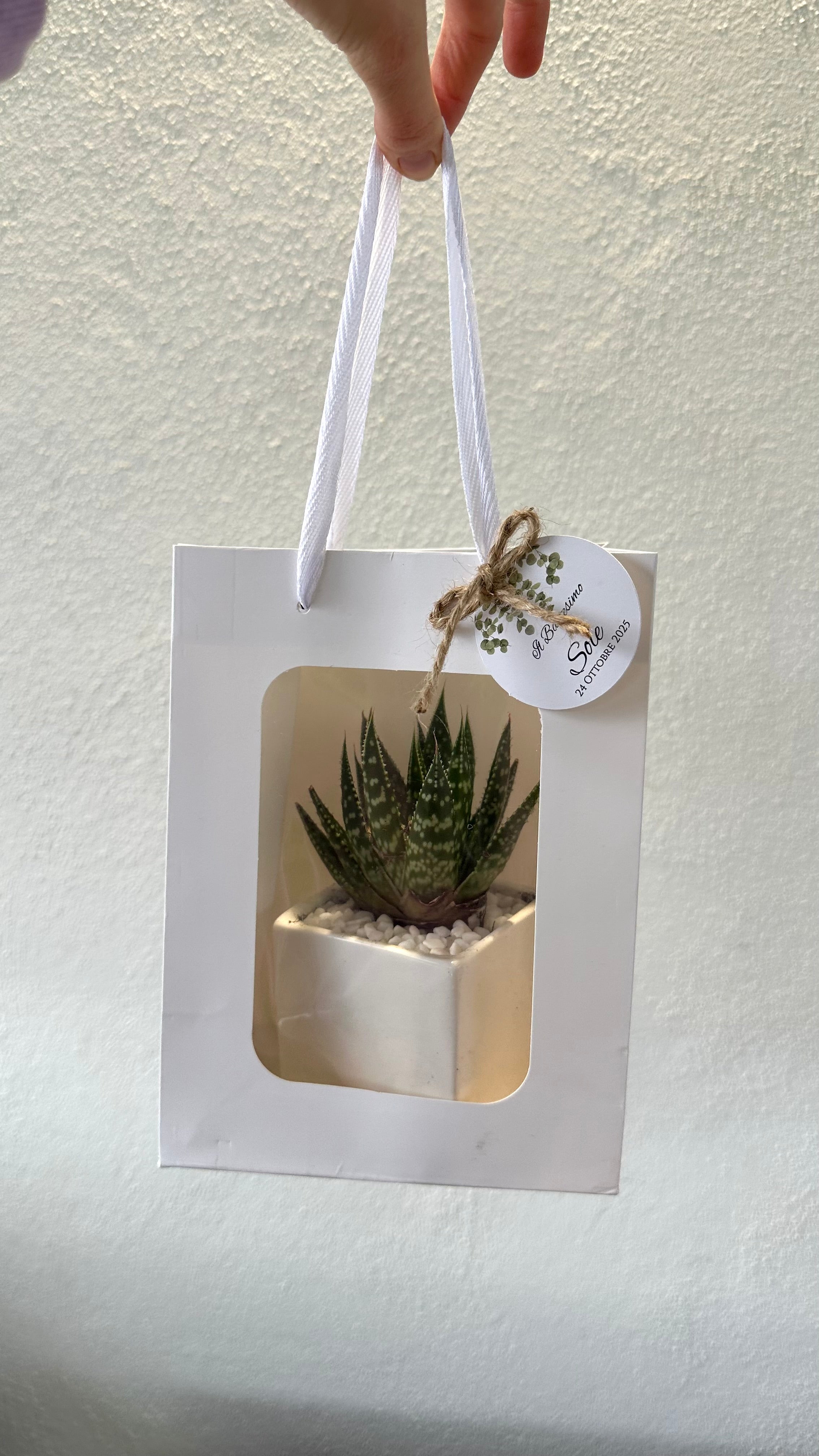 Set 5 Borse per Bomboniere 20cm x 15cm x 10cm con finestra trasparente