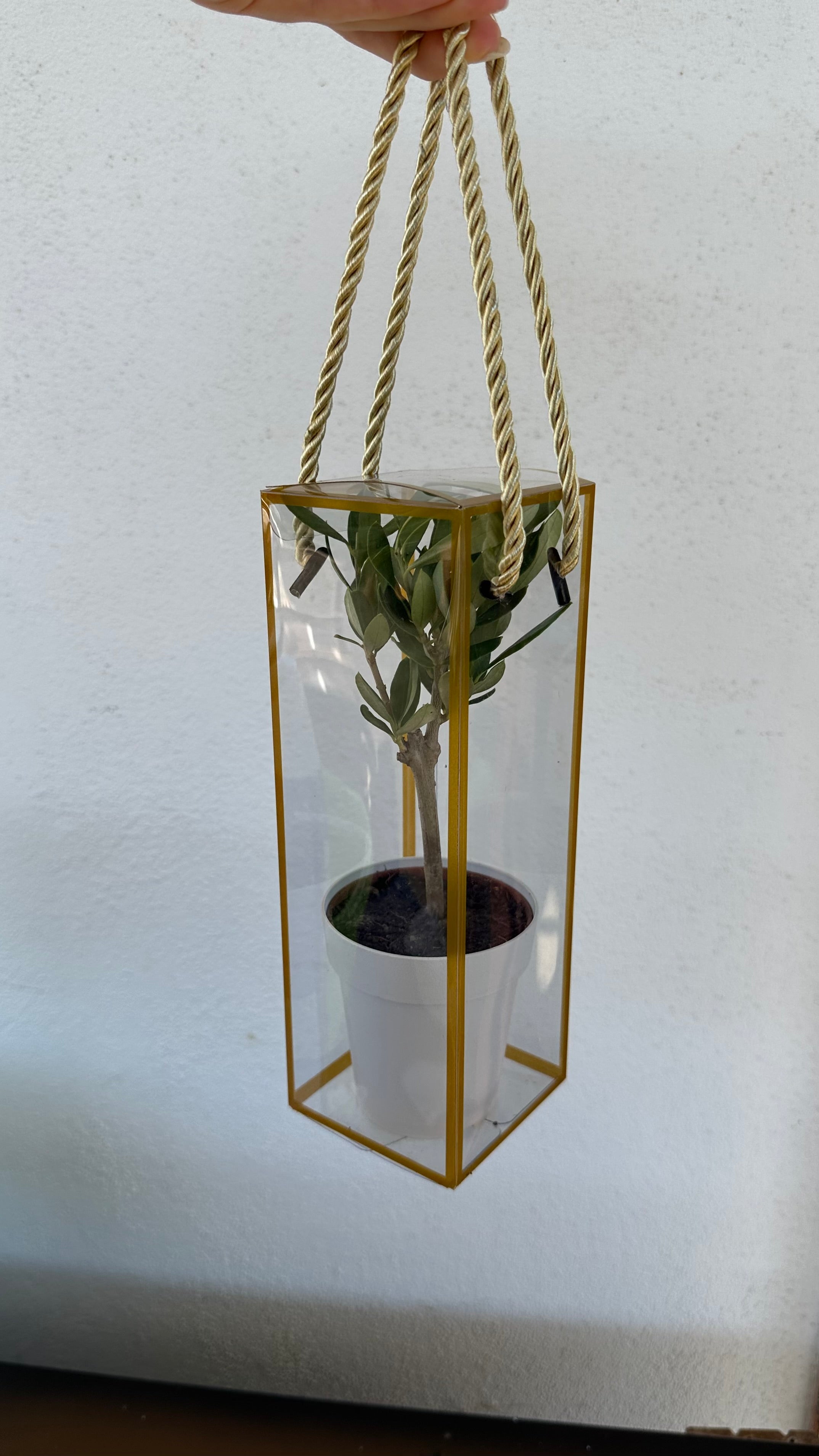 Set 5 Scatoline per Bomboniere 7cm x 7cm x 21cm Trasparenti bordi oro e lacci