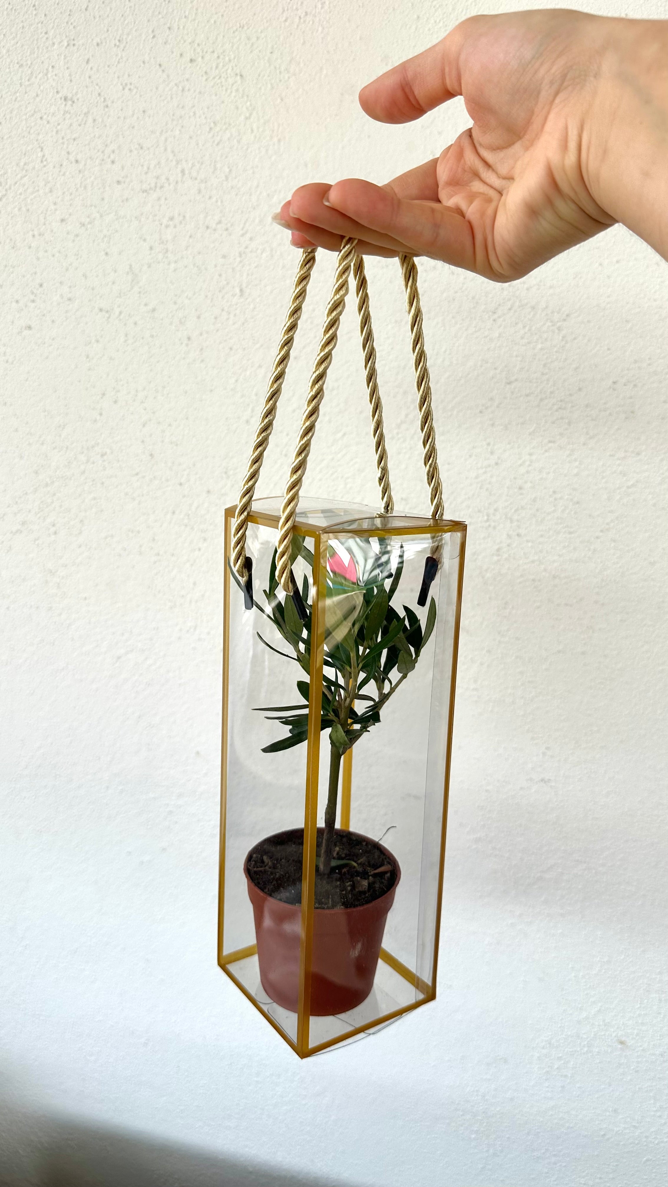 Set 5 Scatoline per Bomboniere 7cm x 7cm x 21cm Trasparenti bordi oro e lacci