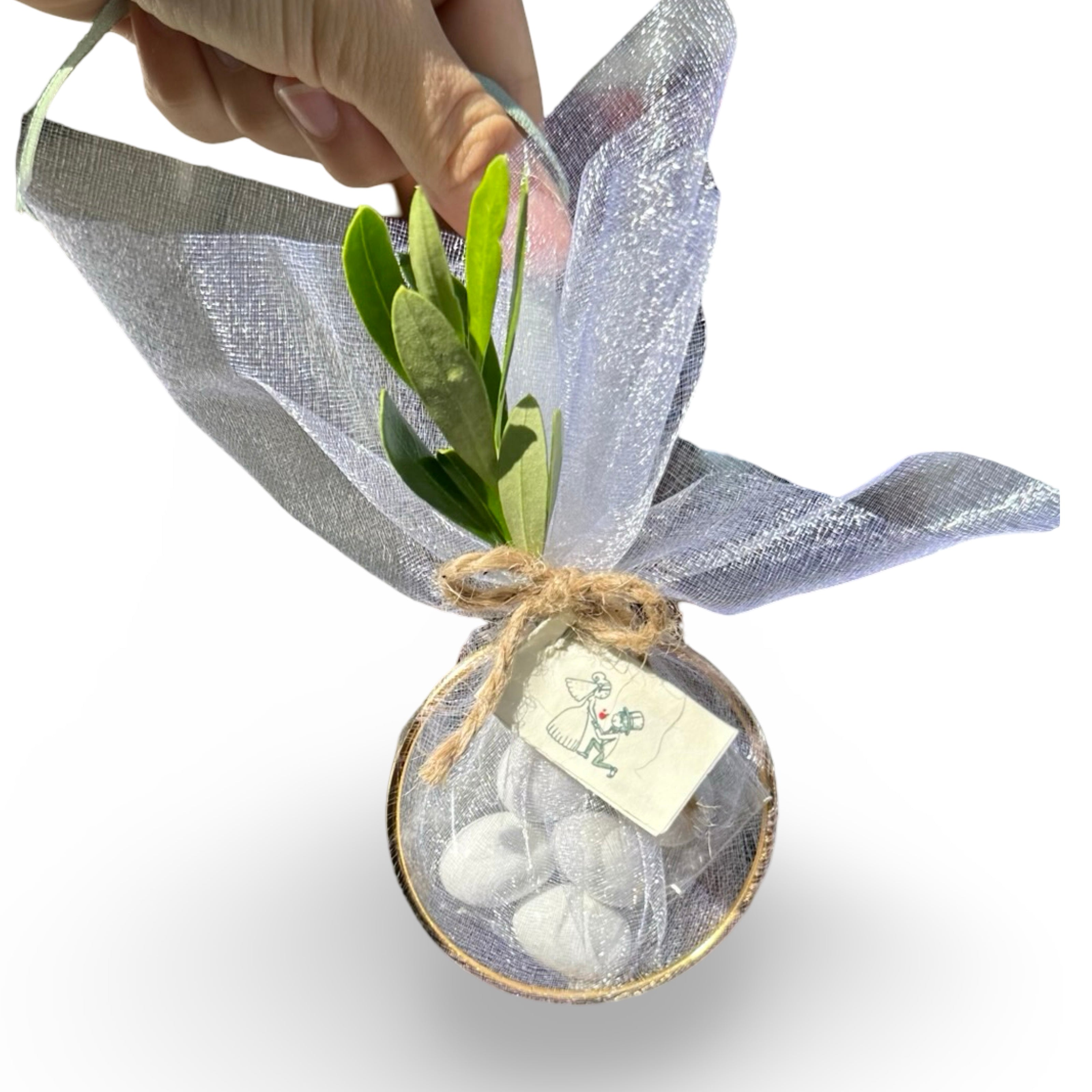 Set Piantine Ulivo per bomboniere in vaso ceramica quadrato CERTIFICATE