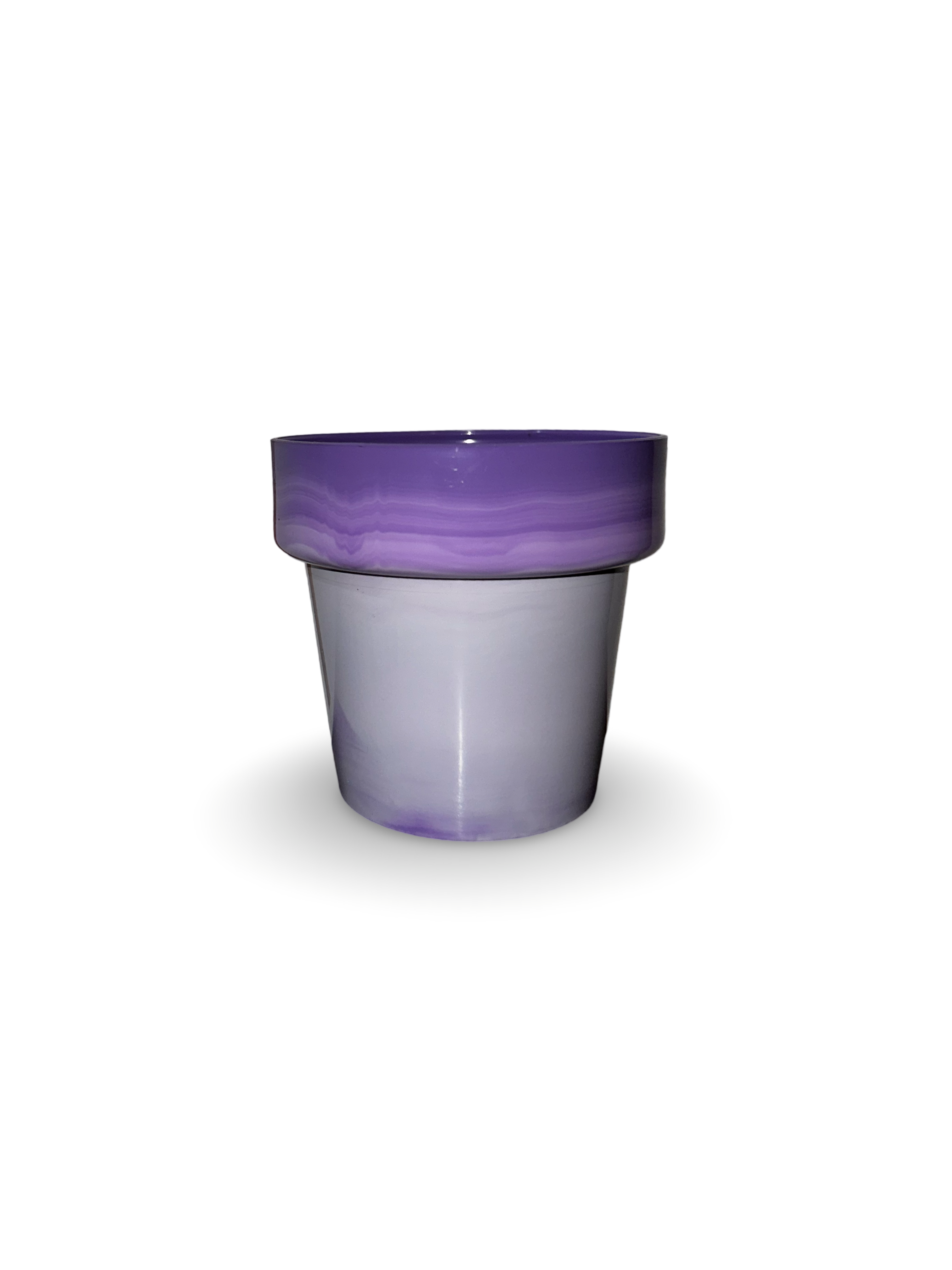 Piantina di Crassula Hobbit