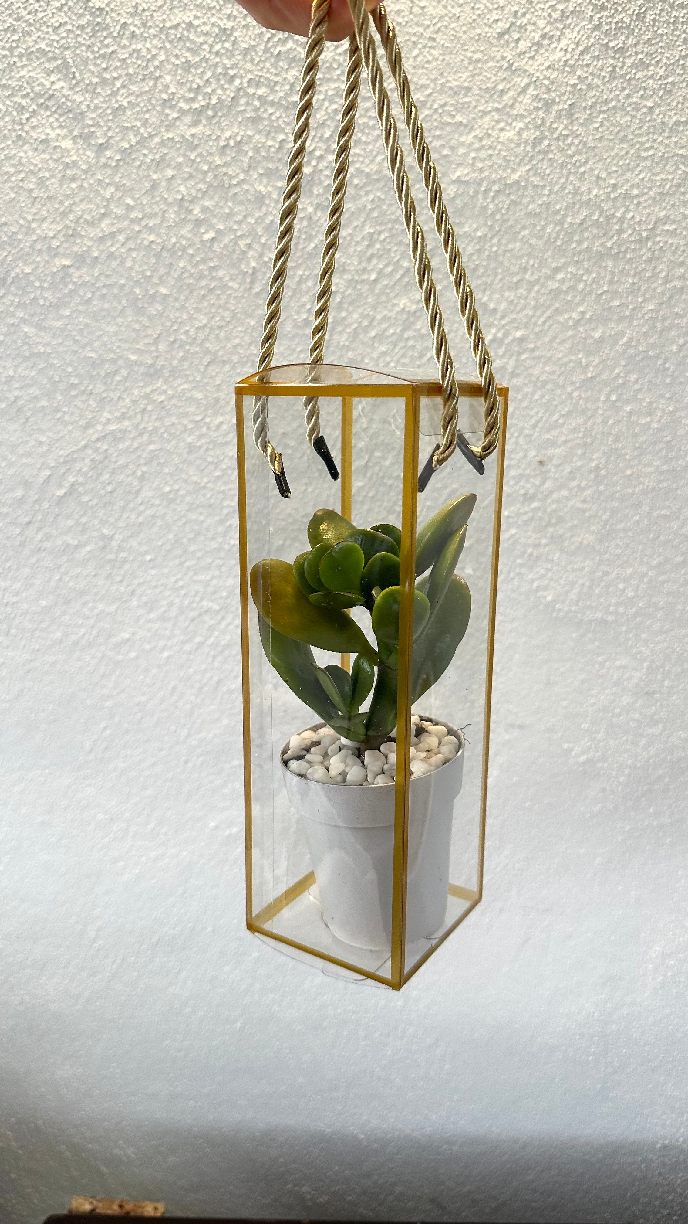 Set 5 Scatoline per Bomboniere 7cm x 7cm x 21cm Trasparenti bordi oro e lacci