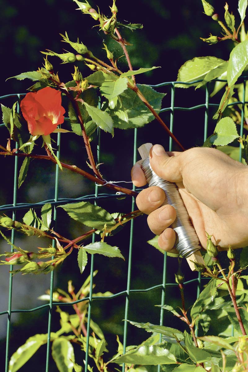 Filo giardinaggio zincato antiruggine - diam 1,4 mm x 20 mt