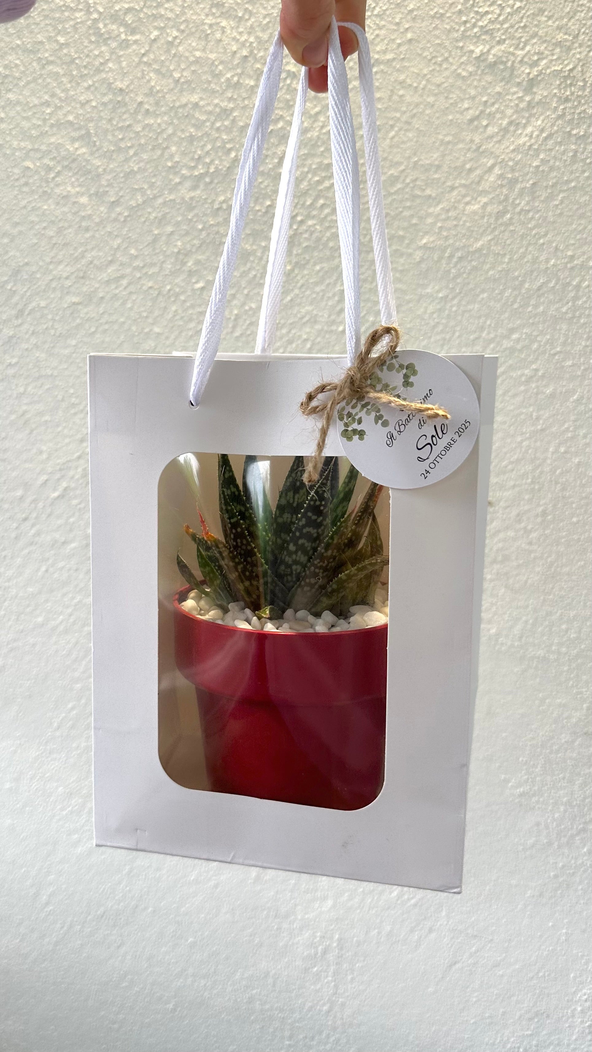 Set 5 Borse per Bomboniere 20cm x 15cm x 10cm con finestra trasparente