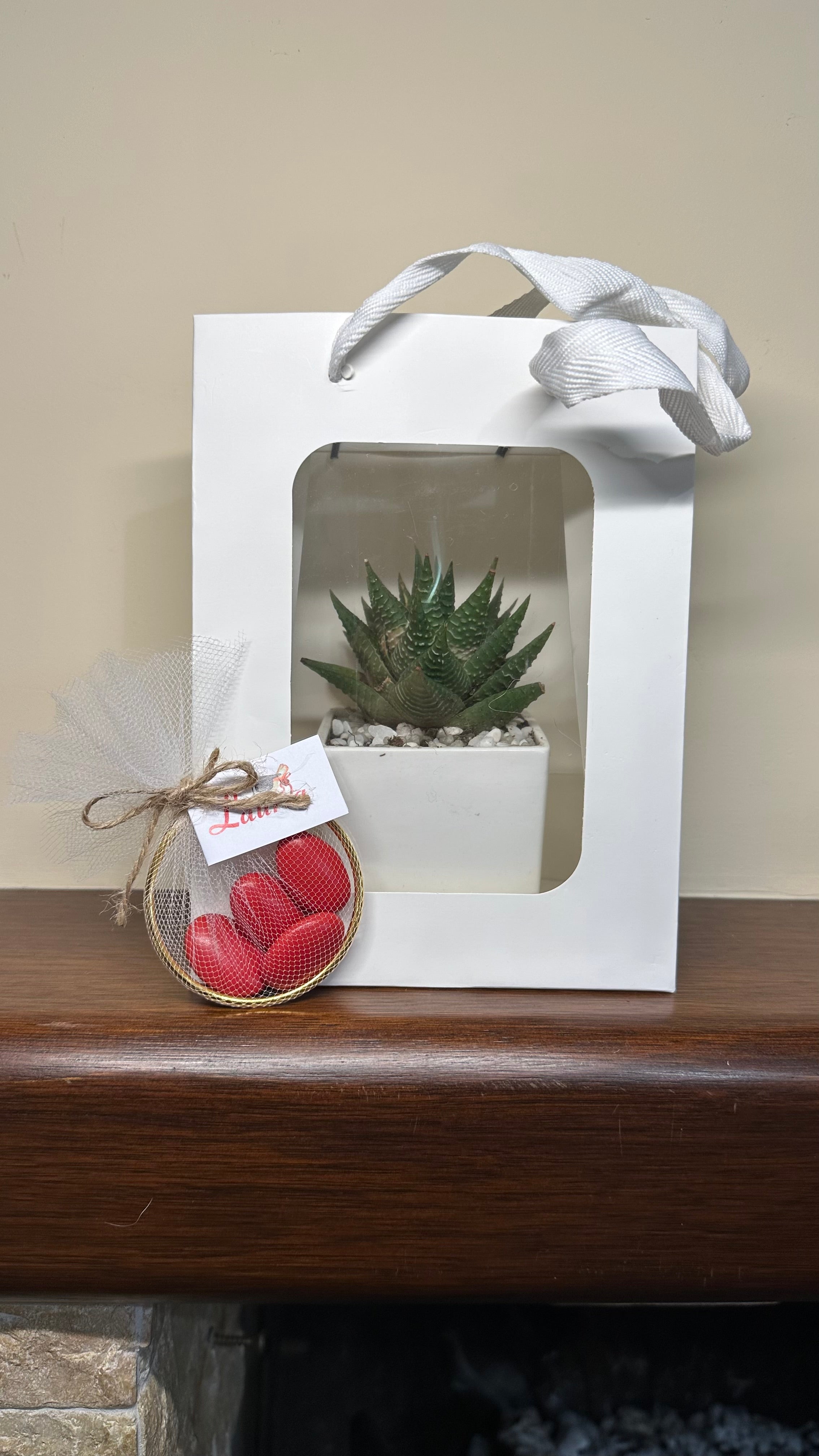 Set 5 Borse per Bomboniere 20cm x 15cm x 10cm con finestra trasparente