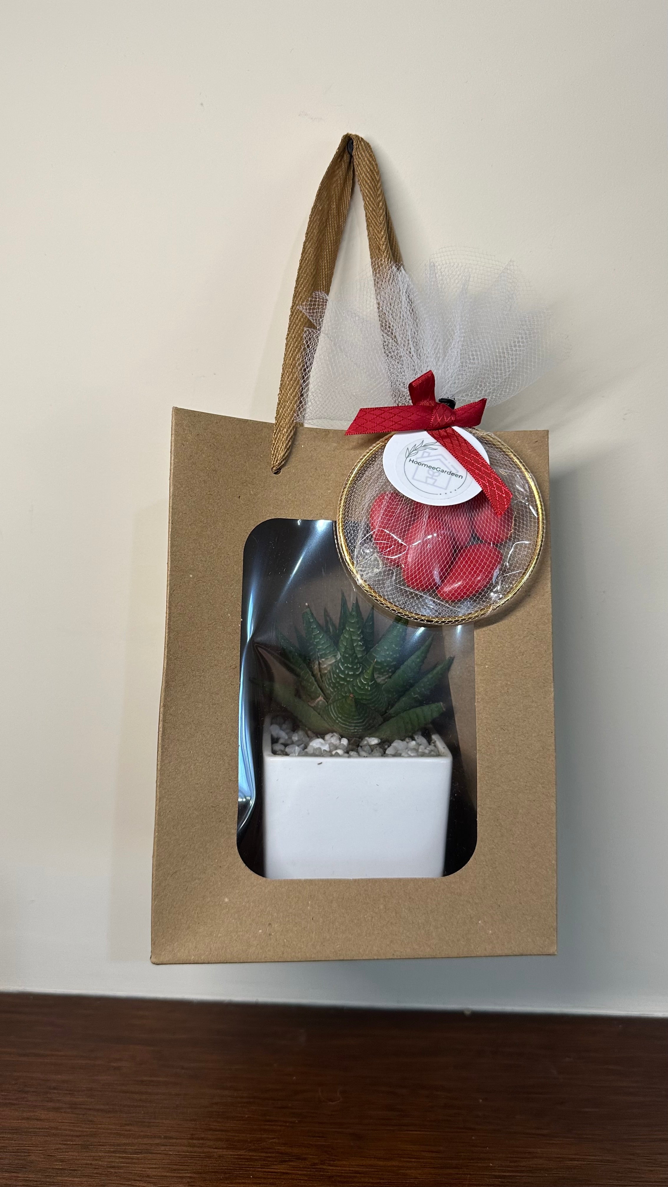 Set 5 Borse per Bomboniere 20cm x 15cm x 10cm con finestra trasparente