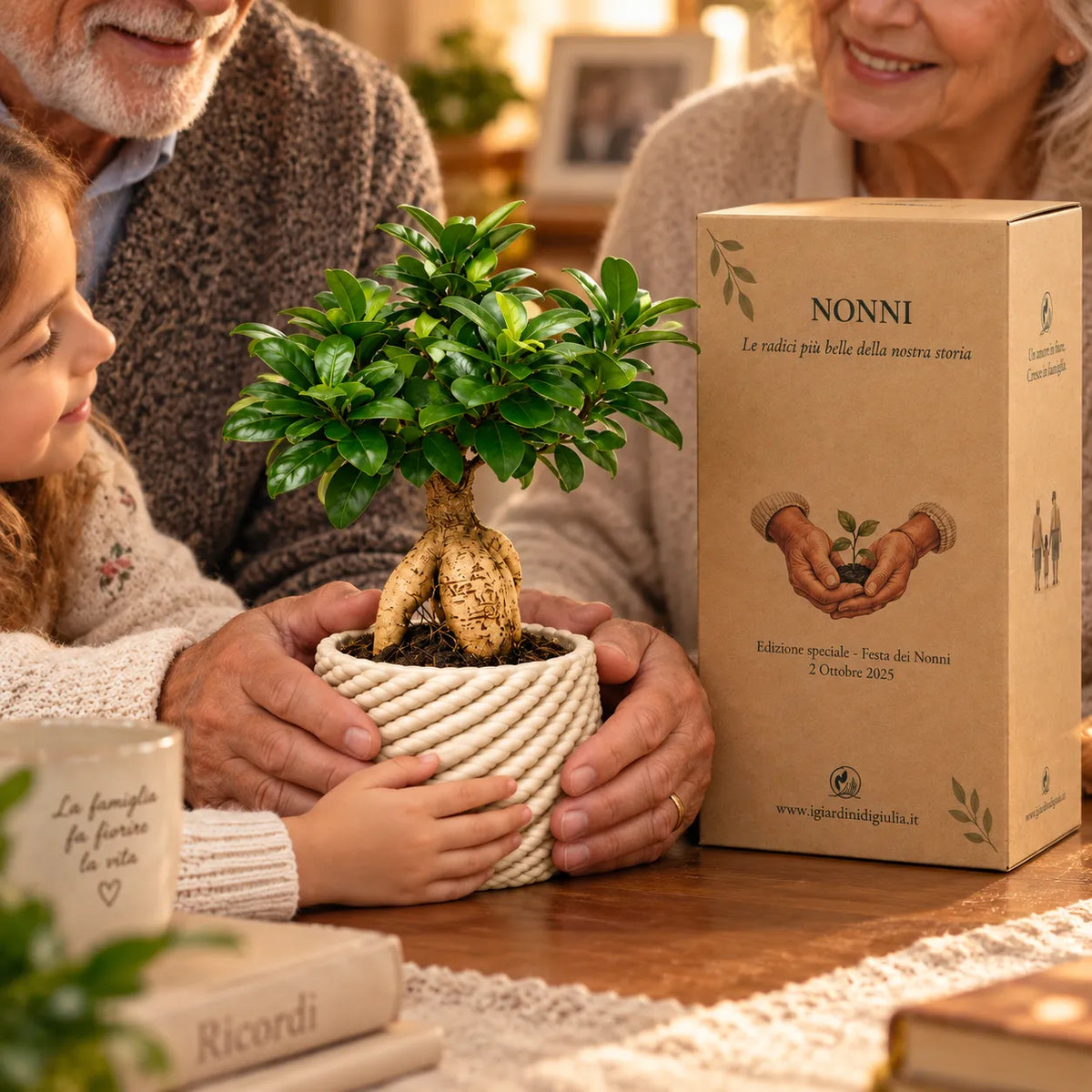 Bonsai ficus ginseng Carina  in ceramica edizione festa dei nonni