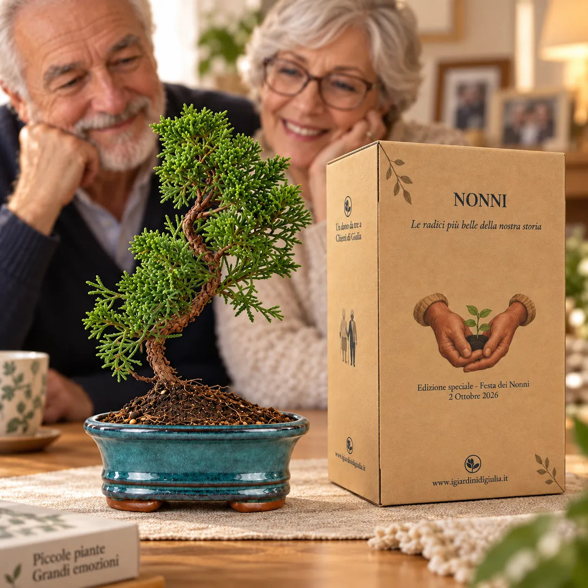 Bonsai 7 anni Juniperus Chinensis Kyushu - Collezione Premium edizione festa dei nonni