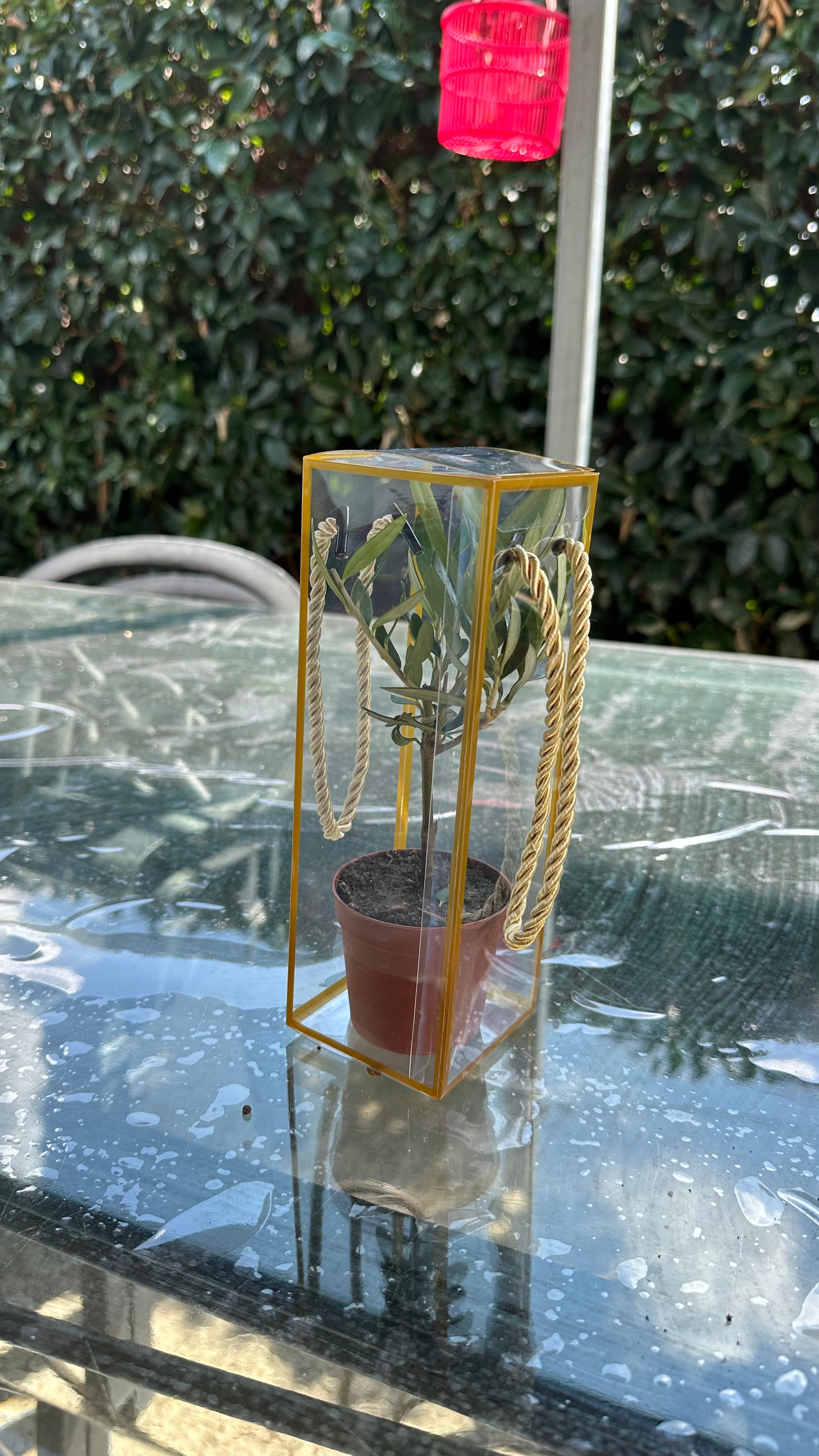 Set 5 Scatoline per Bomboniere 7cm x 7cm x 21cm Trasparenti bordi oro e lacci