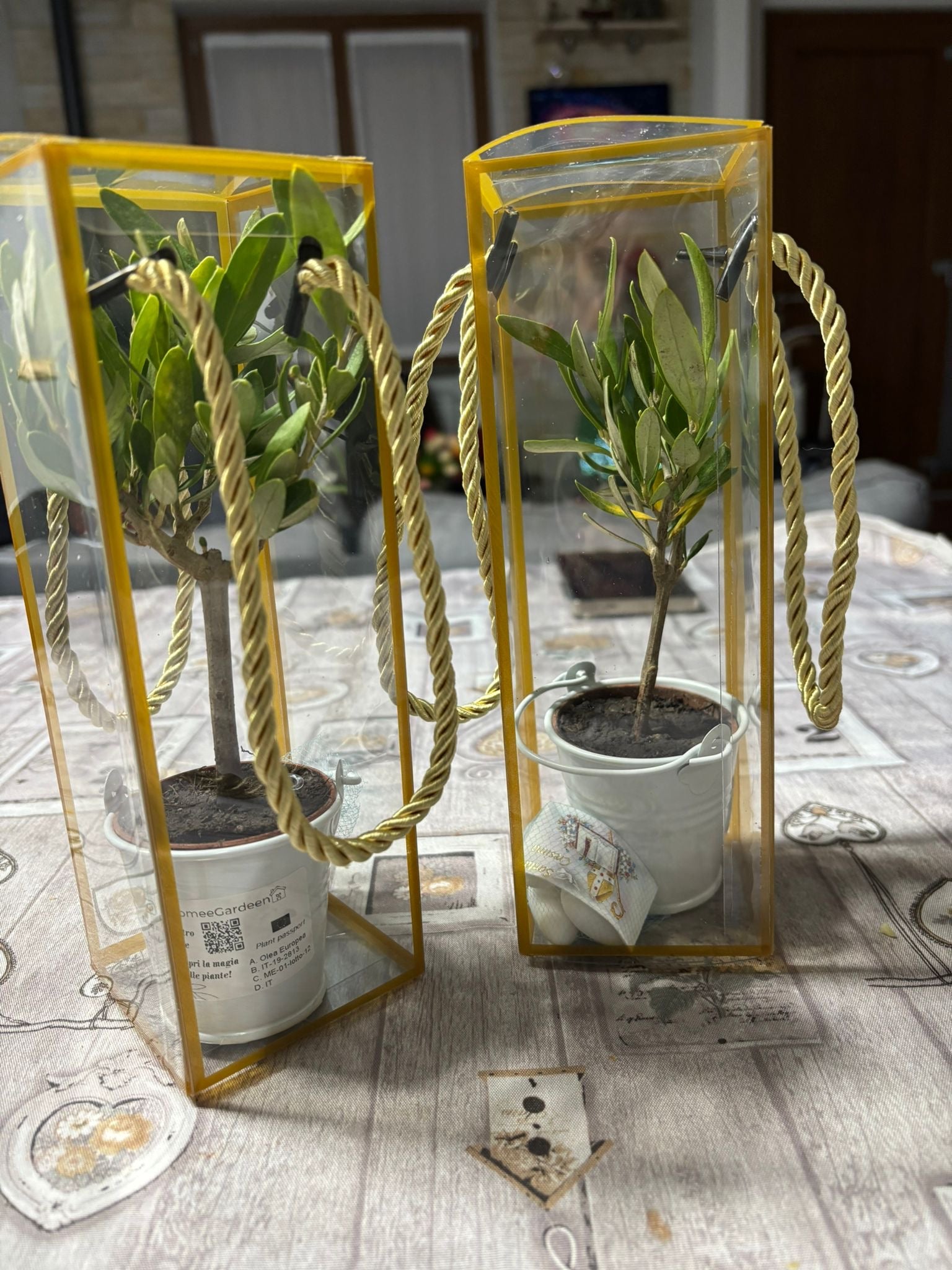 Set 5 Scatoline per Bomboniere 7cm x 7cm x 21cm Trasparenti bordi oro e lacci