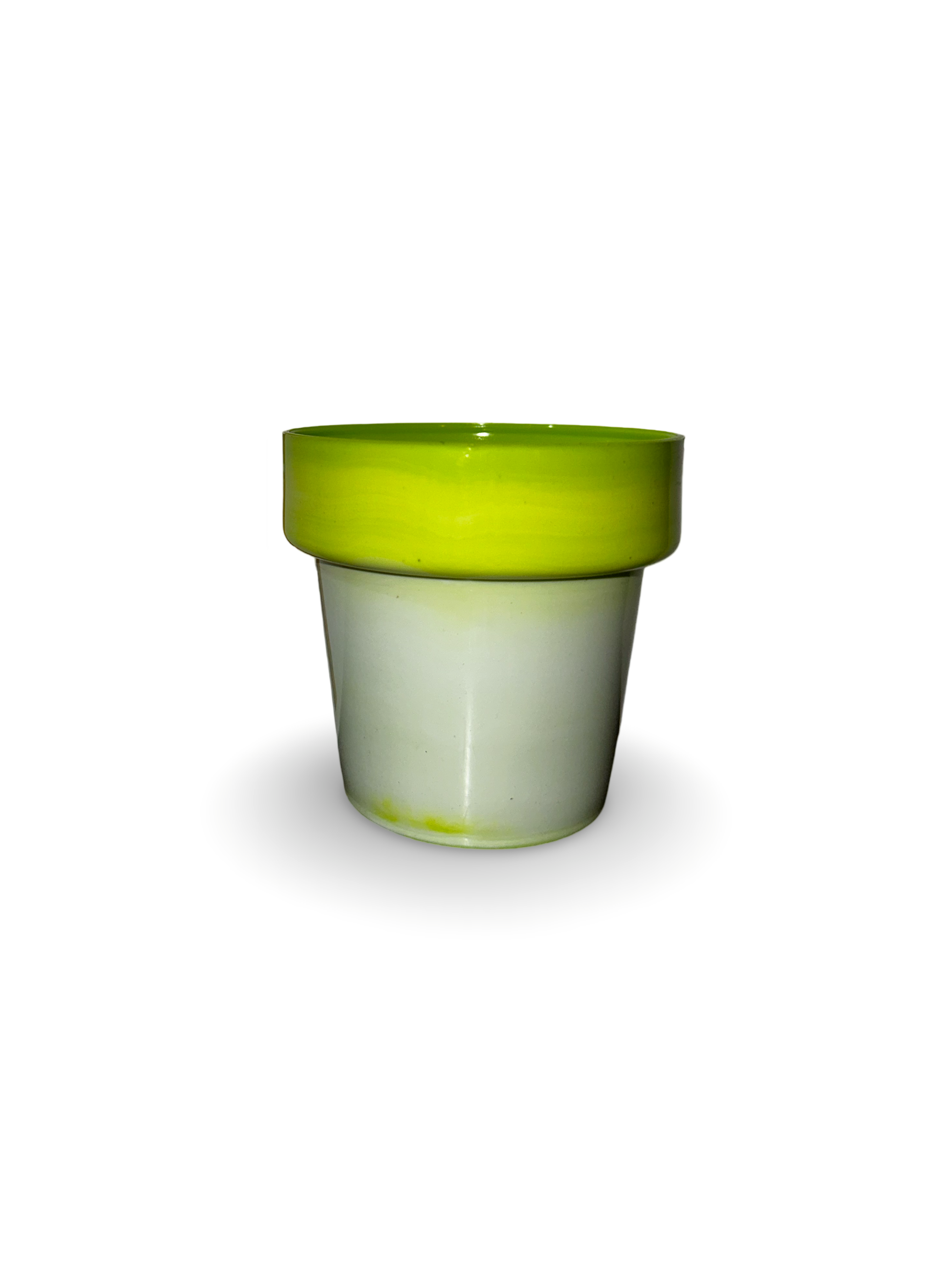 Piantina di Crassula Hobbit