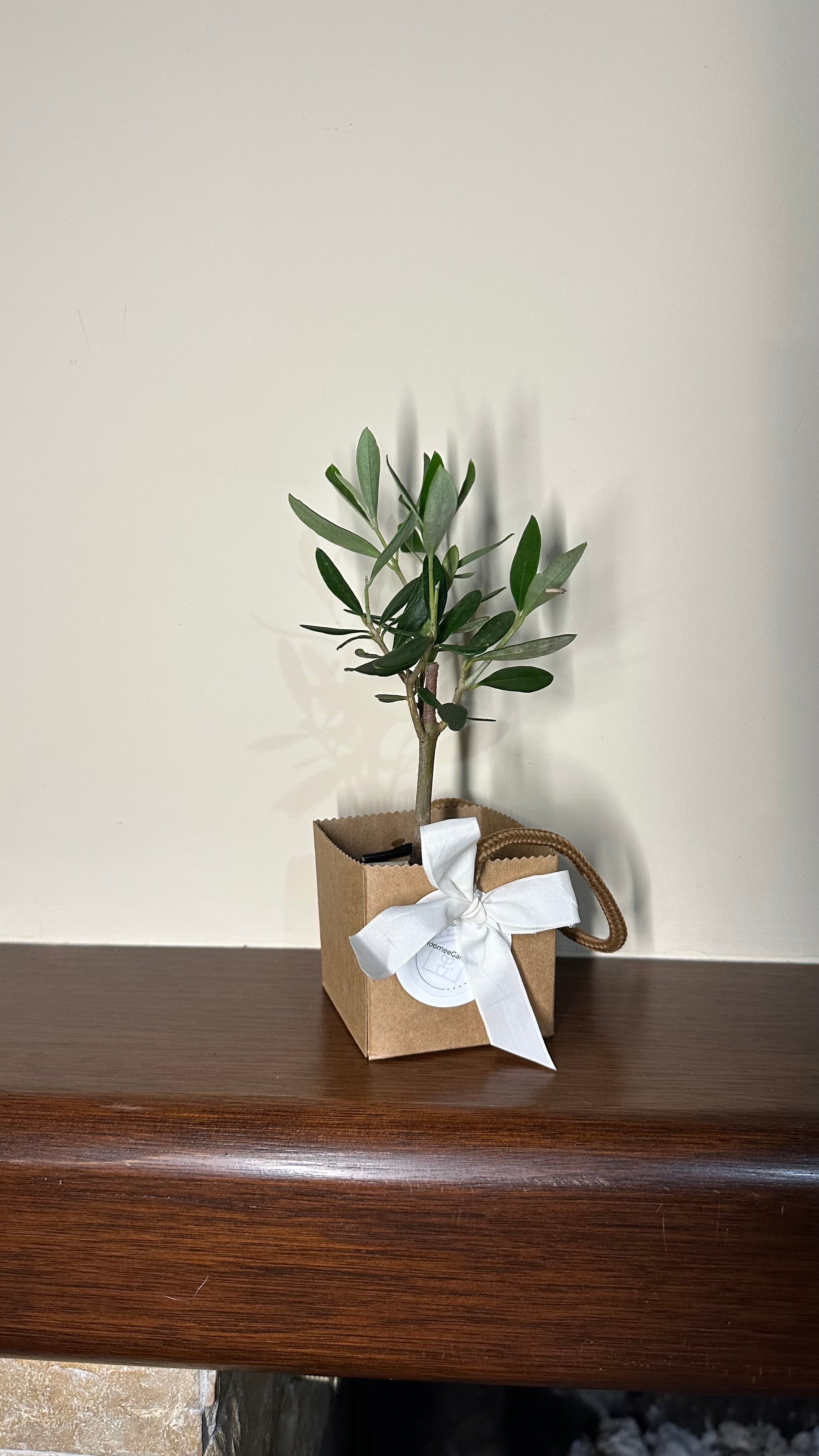 Set 5 Scatoline per Bomboniere 6,5cmx6,5cmx6,5cm