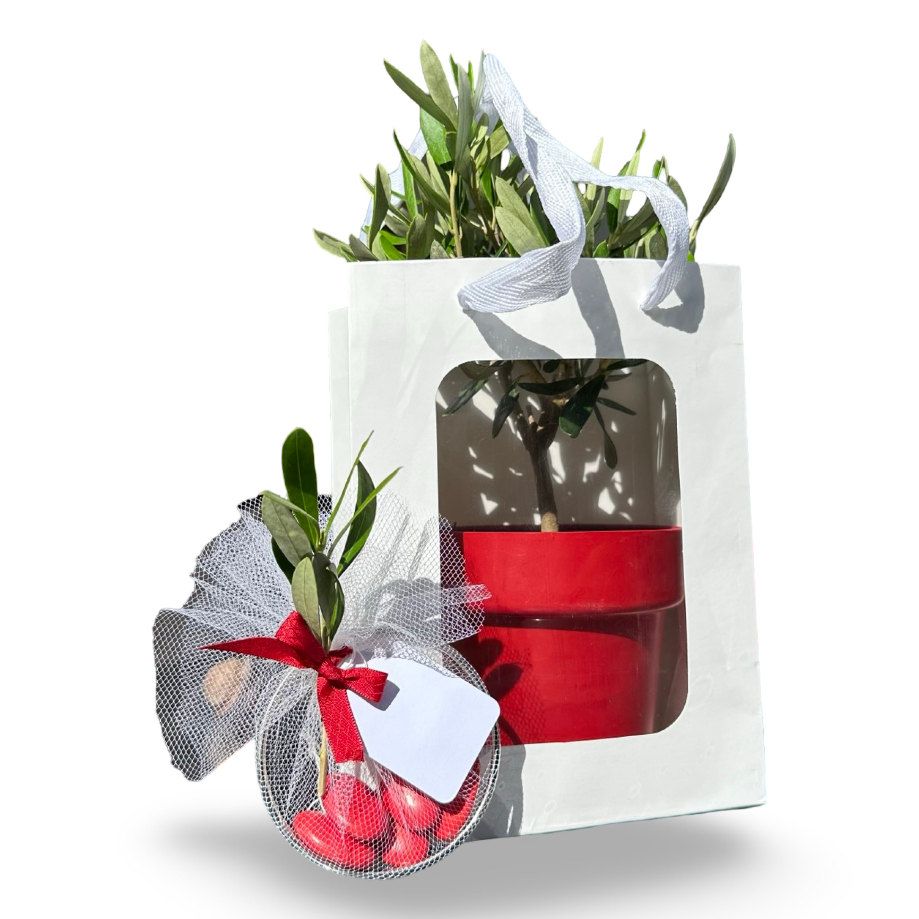 Set 5 Borse per Bomboniere 20cm x 15cm x 10cm con finestra trasparente