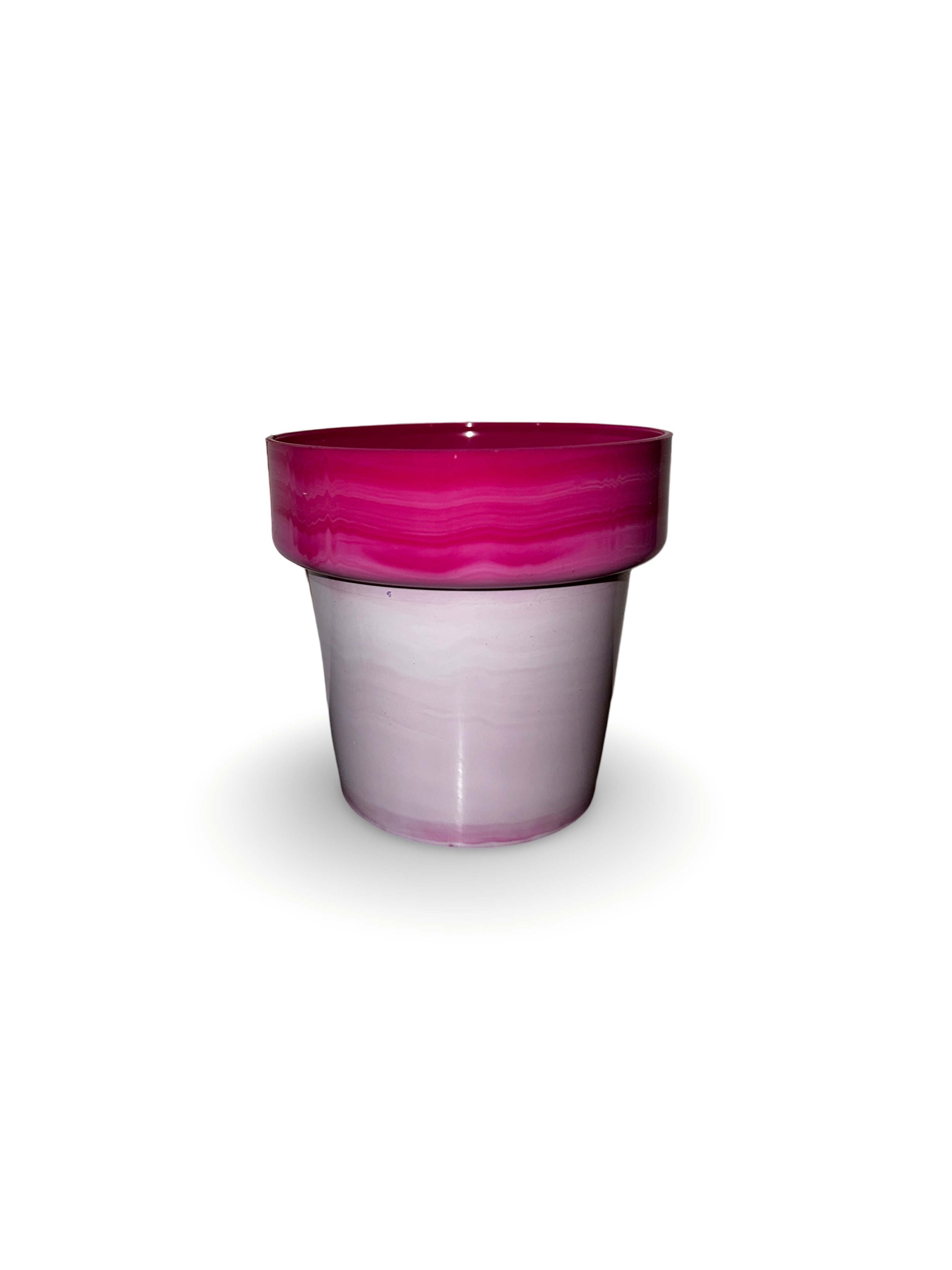 Piantina di Crassula Hobbit