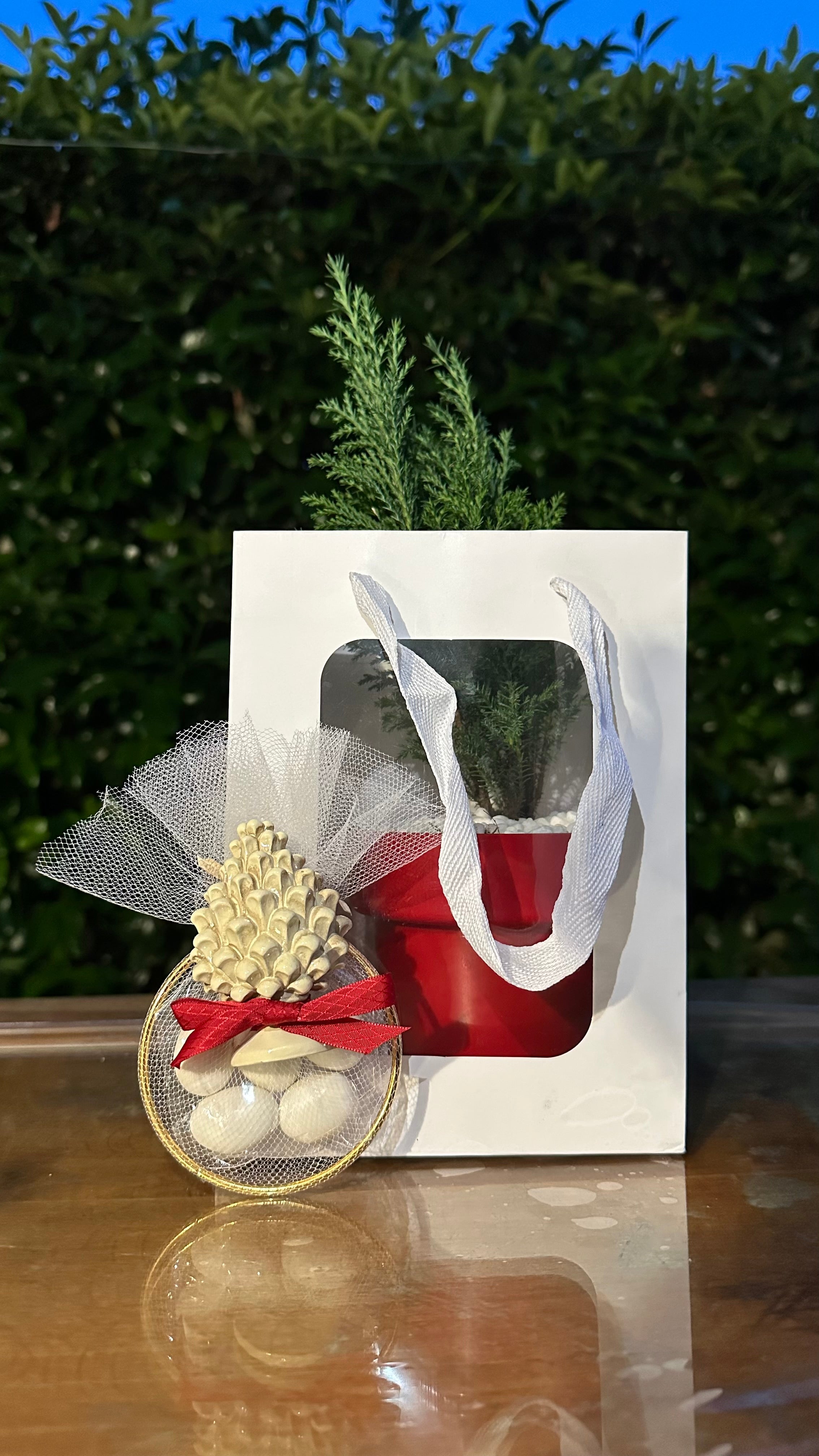 Set 5 Borse per Bomboniere 20cm x 15cm x 10cm con finestra trasparente