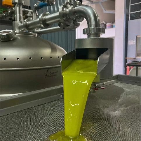 Olio EVO Moceri BIO 100% siciliano in bottiglia vetro Dorica