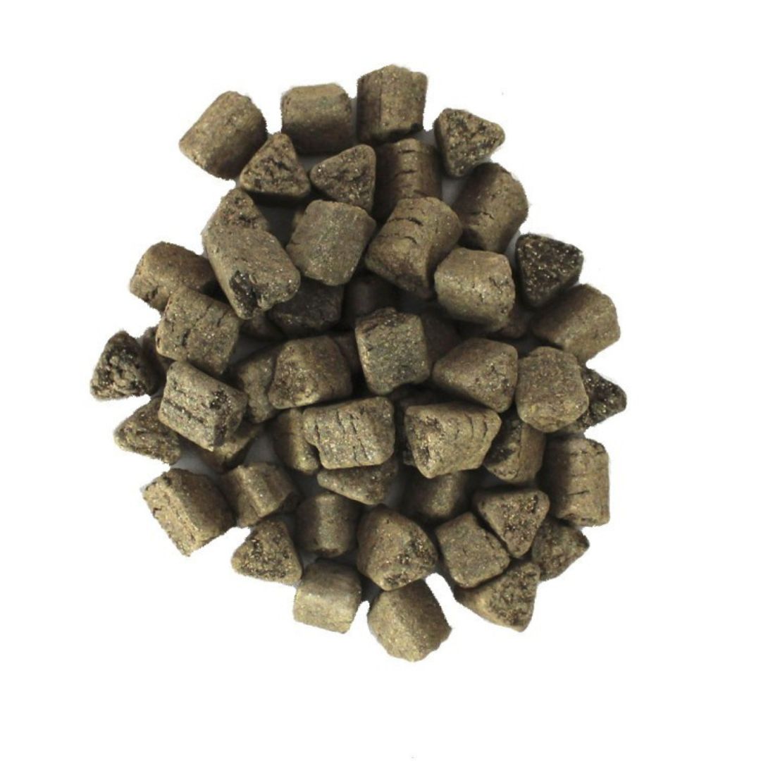 Concime BIO-GOLD Specifico per Bonsai