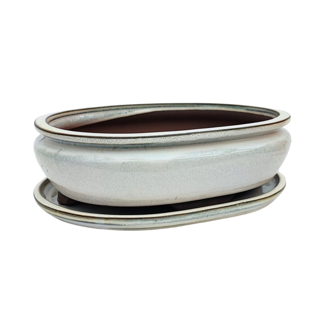 BASIC CLASS Vaso ovale con sottovaso colori