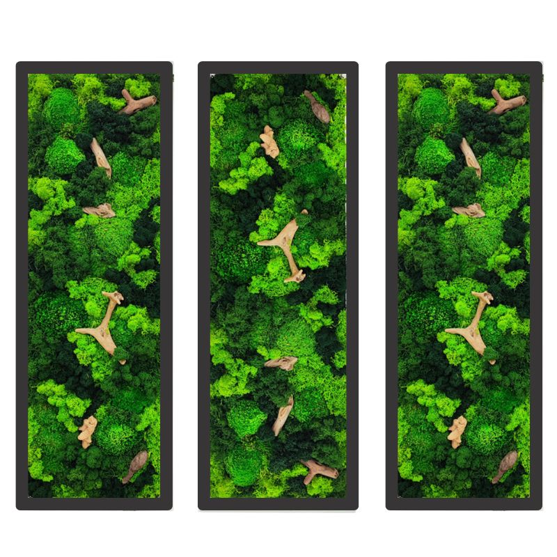 Quadro Rettangolare con Cornice Bianca o Nera e Inserti in Legno Naturale .