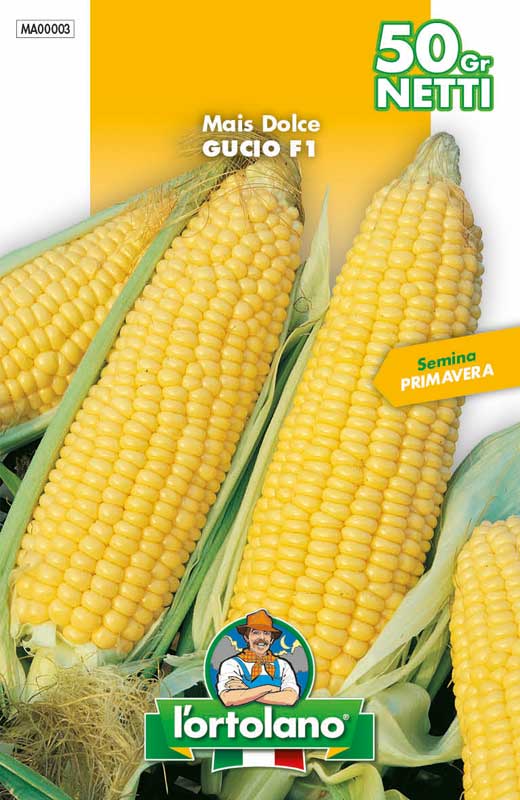 Semi di Mais dolce varietà Elan F1 (ex Gucio)- busta da 50 gr - L'Ortolano