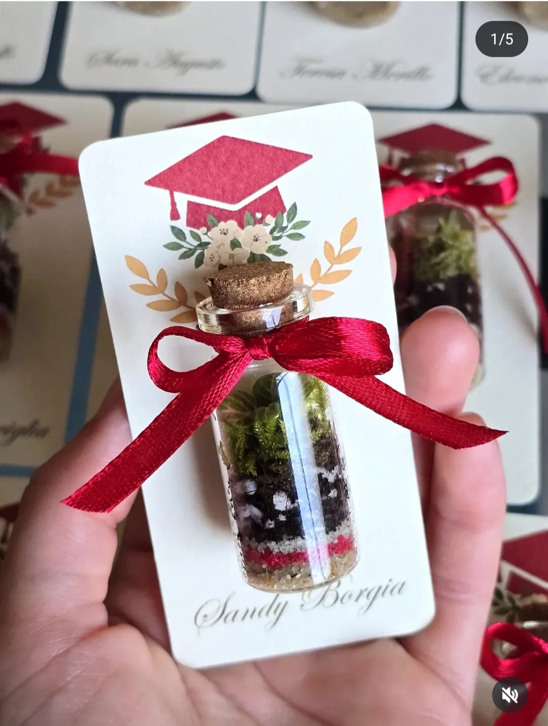 Mini Terrarium cilindro chiuso ∅2cm H4cm