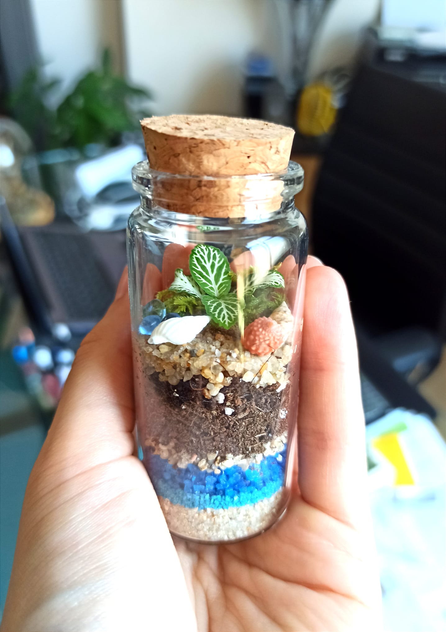 Terrarium cilindro chiuso ∅3cm H8cm