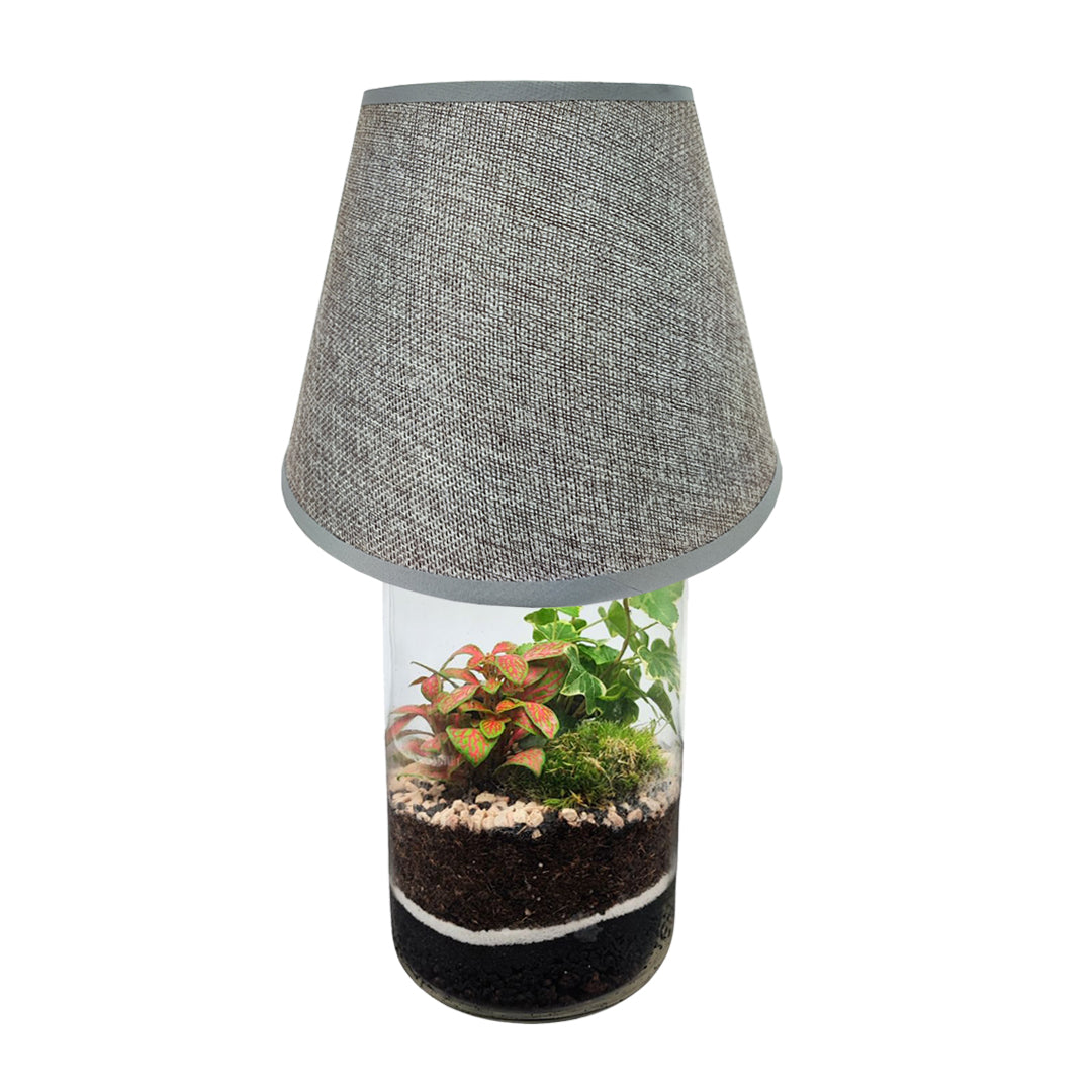Terrarium Lamparium Aurora