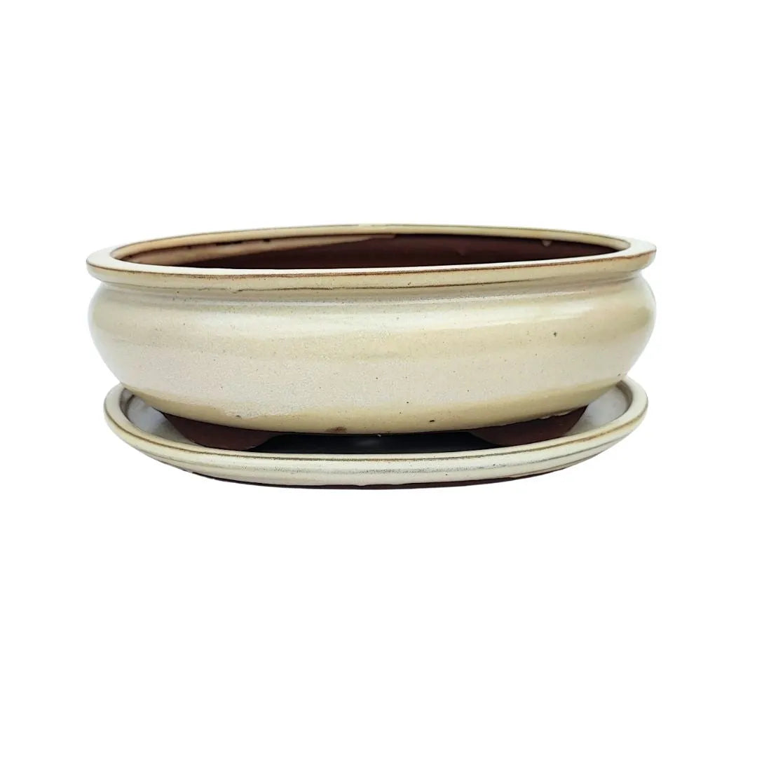 BASIC CLASS Vaso ovale con sottovaso colori