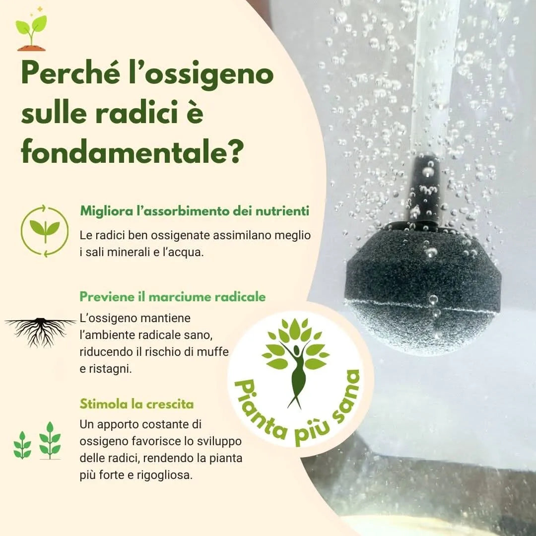 AcquaLum - Il Lume Botanico che Unisce Natura e Design