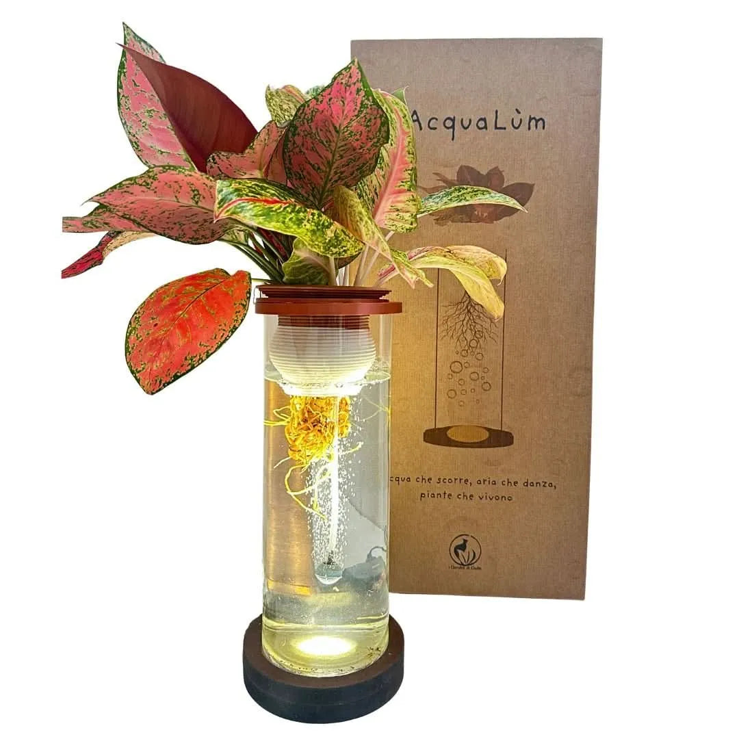 AcquaLum - Il Lume Botanico che Unisce Natura e Design