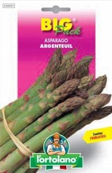 Semi Asparago Argenteuil - Big Pack - L'Ortolano