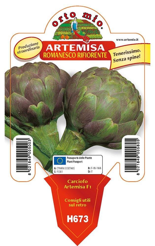Carciofo romanesco Artemisa F1 - 1 pianta v.10 cm - Orto Mio