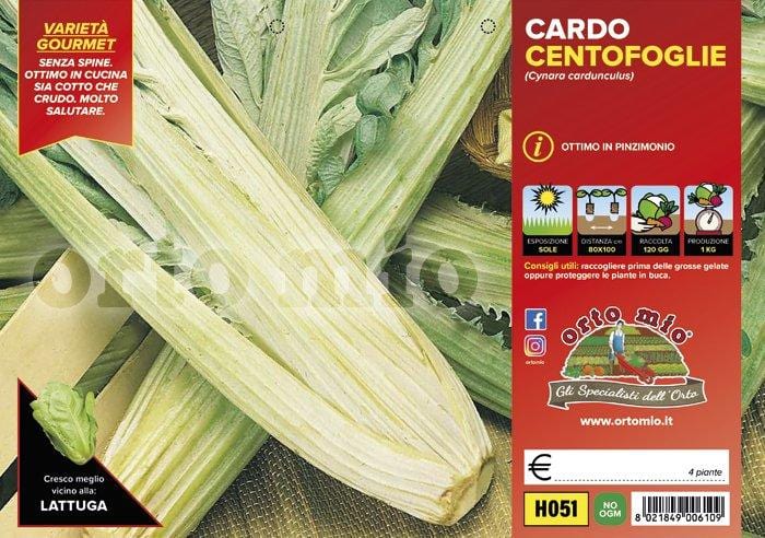 Cardo centofoglie - 4 piante - Orto Mio
